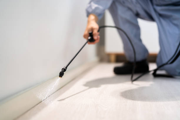 Licensed Termite Control service in Safford, AZ - Show Me Pest Control